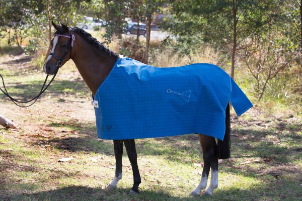 Pony Budget Lined Rug
