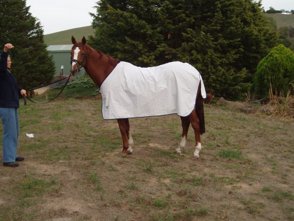 White Polly Rug