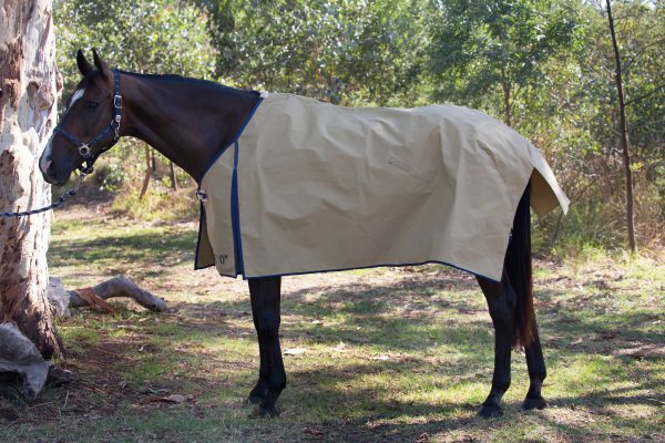 Sandstone Gusset Rug