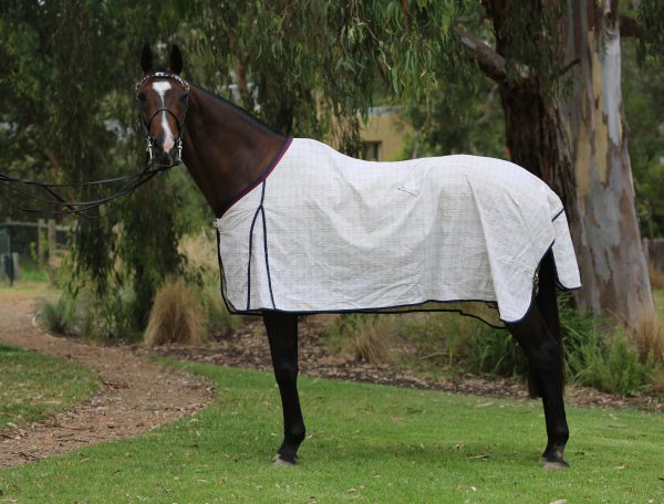 Waratah Rug