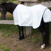White Polly Rug